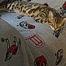 cat, bengal_cat, sleeping, couch, blanket, patterned_fur, indoor, resting, feline, pet, cozy, relaxed, animal, mammal, whiskers, ears, striped, spotted, soft_fur, home