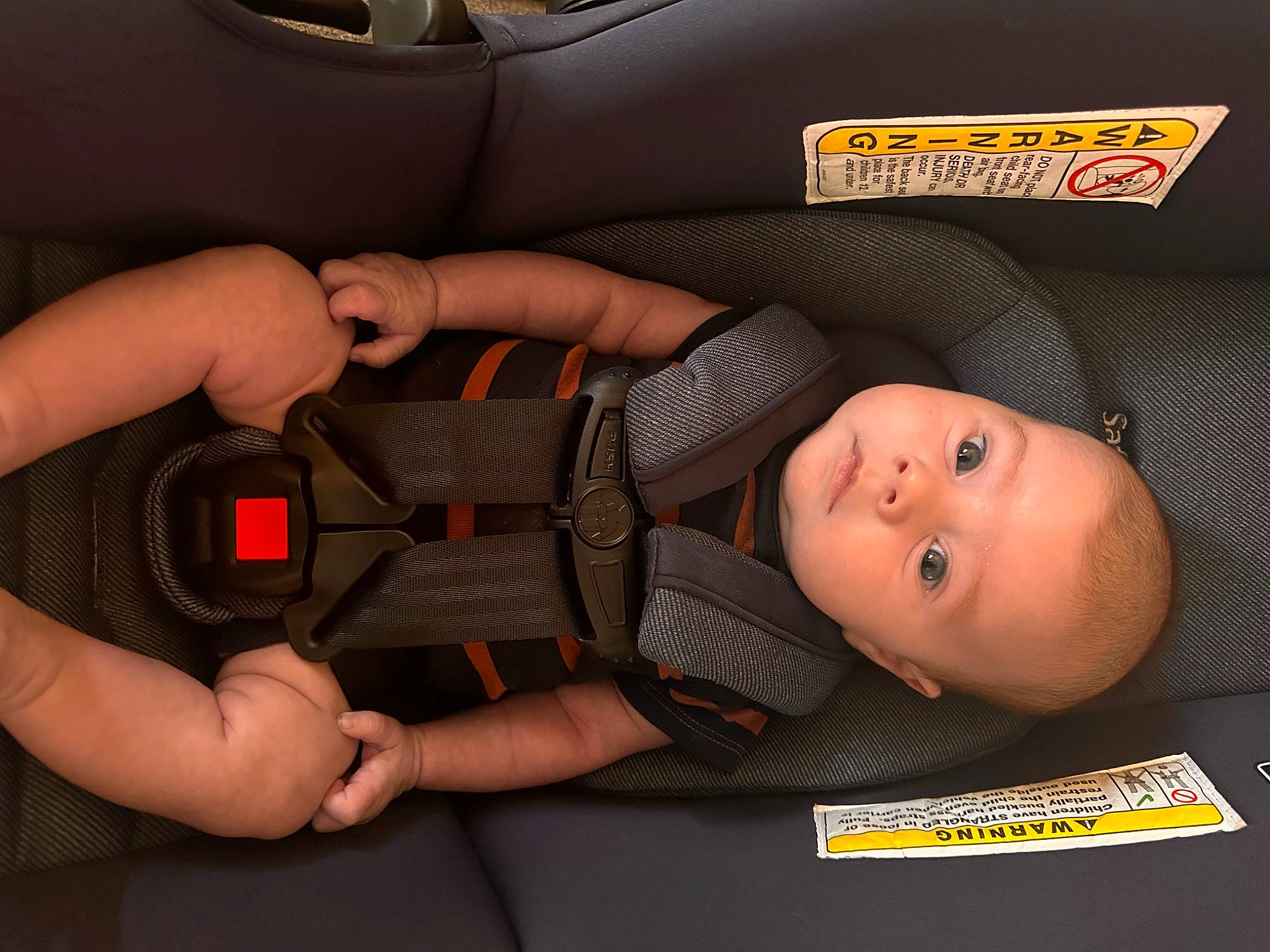 Parker is registered to the contest to win money with this photo: audio_equipment, auto_part, automotive_lighting, automotive_tire, baby, baby_products, baby_safety, baby_toddler_clothing, car_seat, child, comfort, family_car, finger, gesture, hand, person, personal_protective_equipment, thumb, tire, toddler