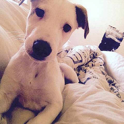 Judge joined the competition — help win amazing prizes!