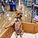 Caramelo