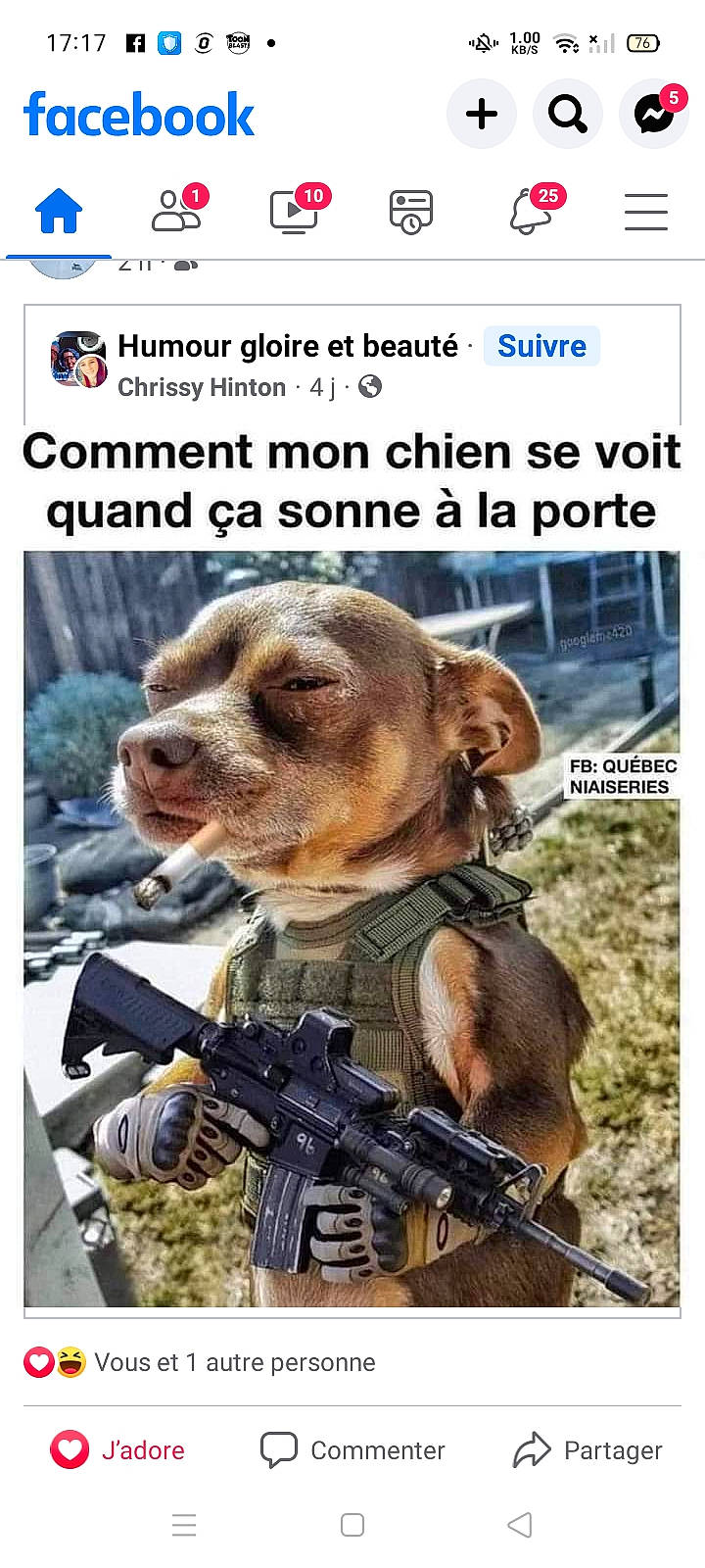 Moka a rejoint le concours — aidez-le/la à gagner de superbes lots ! action_film, advertising, air_gun, carnivore, companion_dog, dog, dog_breed, font, fur, landscape, movie, news, newspaper, photo_caption, publication, shotgun, soldier, terrestrial_animal, trigger, working_animal