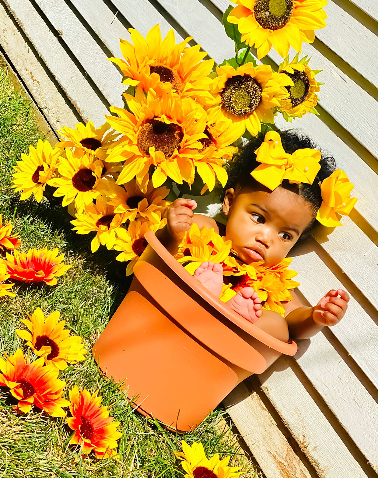 Janiya is registered to the contest to win money with this photo: annual_plant, baby_toddler_clothing, botany, bouquet, eye, flower, flower_arranging, flowering_plant, flowerpot, grass, green, happy, leaf, orange, people_in_nature, person, petal, plant, sunflower, toddler