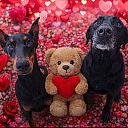 Bruno And Athena joined the competition — help win amazing prizes! adorable, animal, background, black_dog, cute, decorations, doberman, dog, flowers, fluffy, heart, love, pets, pink, portrait, red, roses, stuffed_animal, teddy_bear, valentine