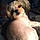 Sadie