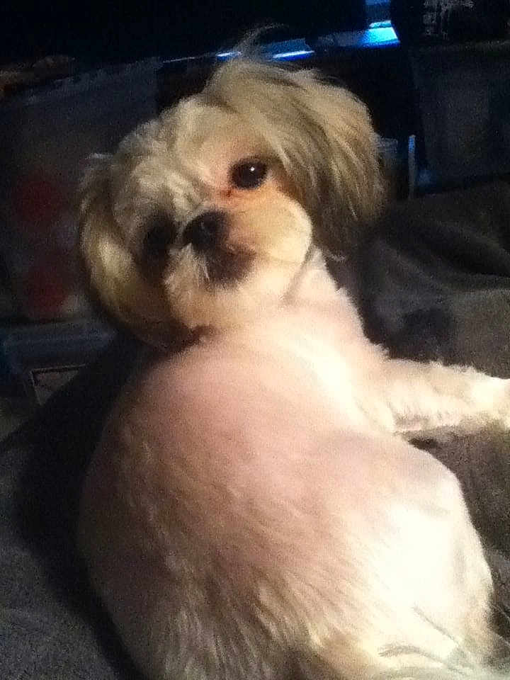 Sadie