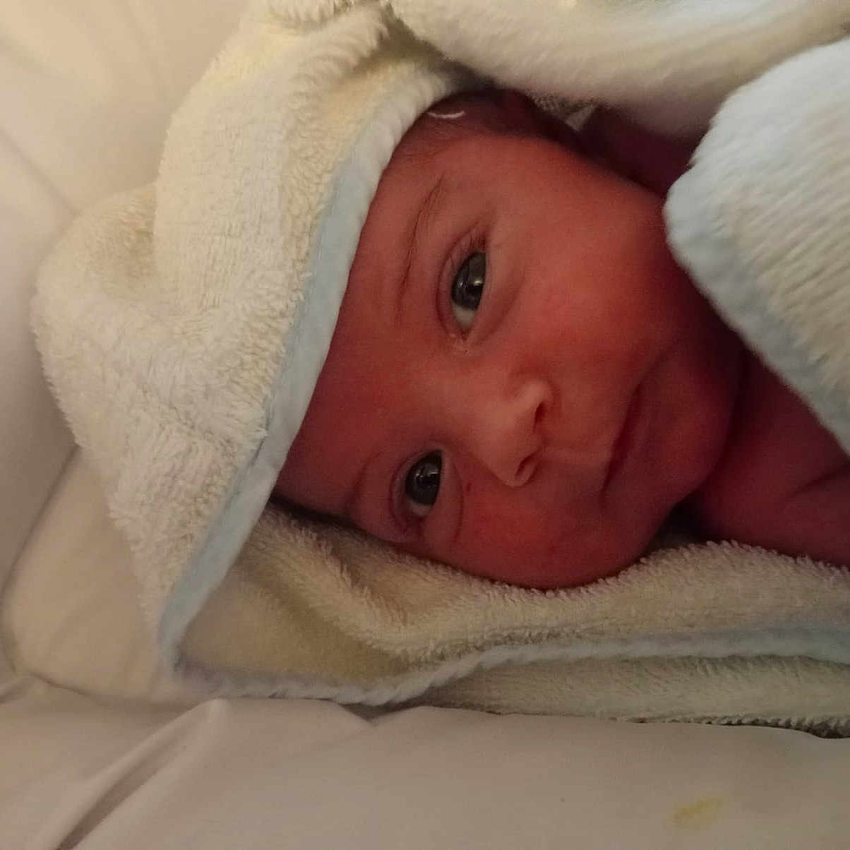 Elio a rejoint le concours — aidez-le/la à gagner de superbes lots ! baby, blanket, child, closeup, comfort, cute, eyes, face, indoors, infant, newborn, peaceful, portrait, resting, skin, sleepy, soft, towel, warm, wrapped