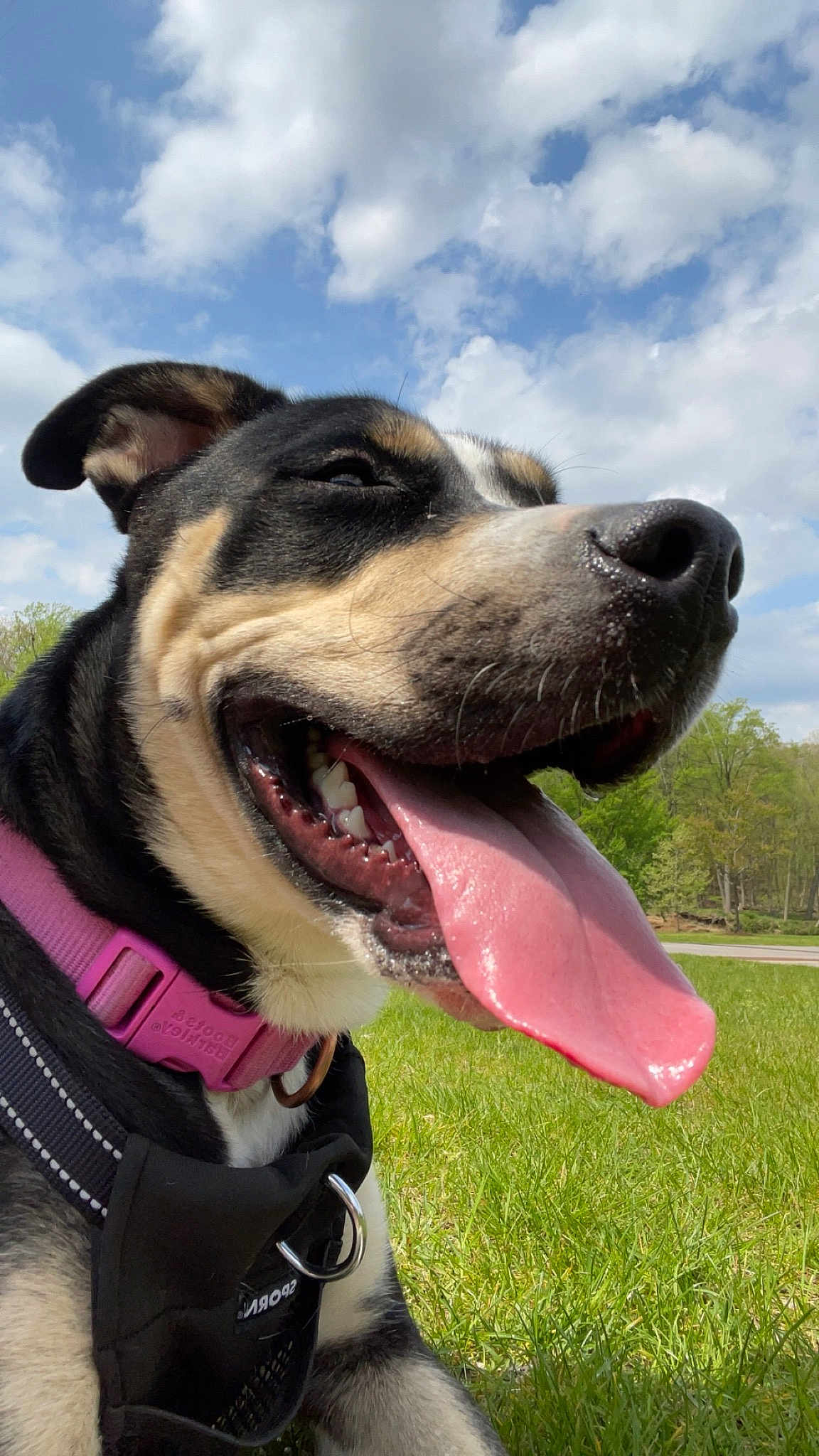 Maggie