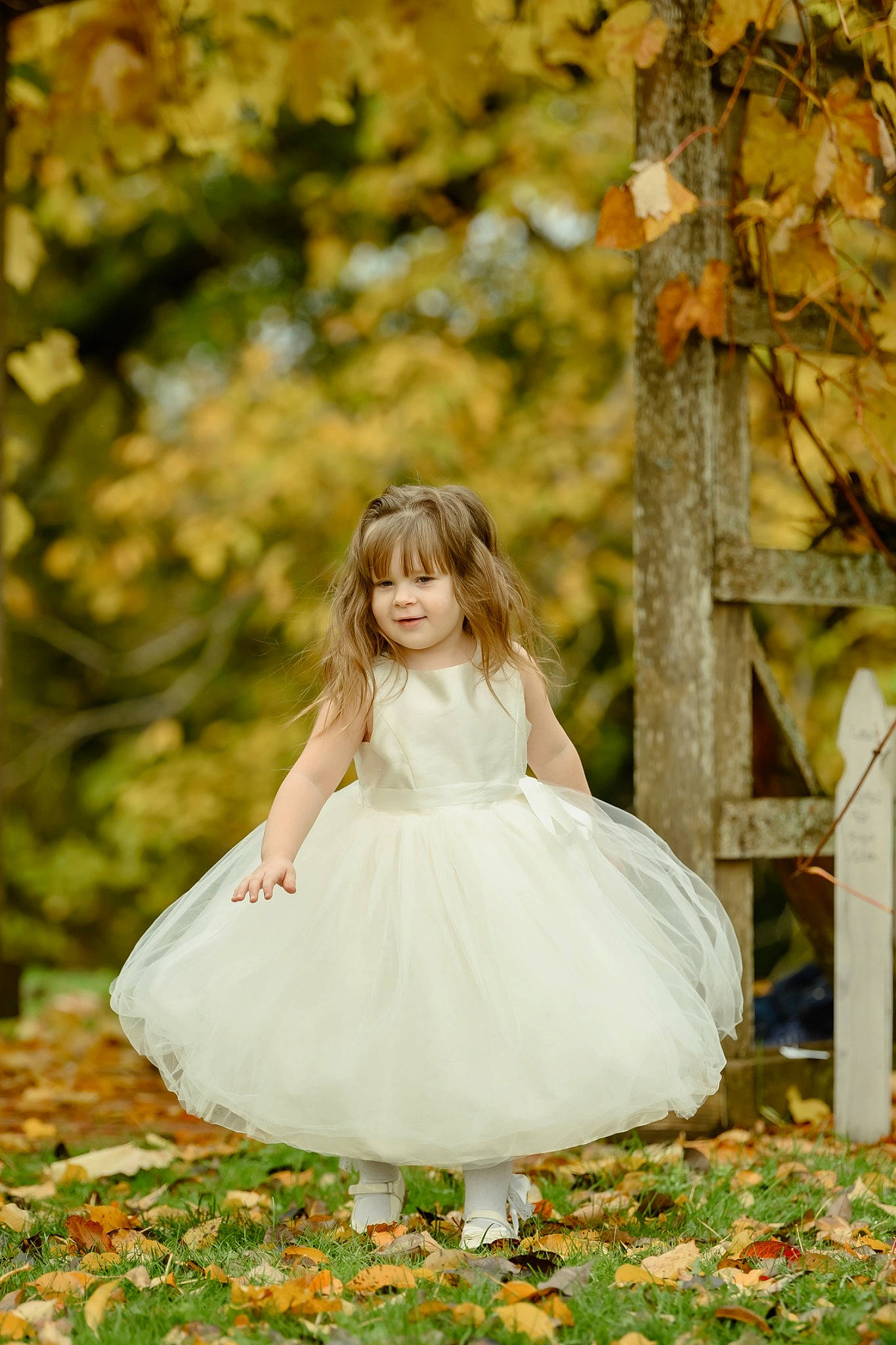 Emily is registered to the contest to win money with this photo: branch, bridal_accessory, bridal_clothing, bridal_party_dress, clothing, dress, eye, flash_photography, gown, grass, happy, joy, nature, people_in_nature, person, plant, sunlight, tree, trunk, wedding_dress