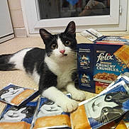 Mitsy participe au concours pour gagner de l'argent avec cette photo :