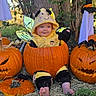 baby, child, pumpkin, jack_o_lantern, halloween, costume, bee_costume, smiling, outdoor, tree, leaf, decorations, black_spider, grass, cute, holiday, festive, orange, nature, sitting