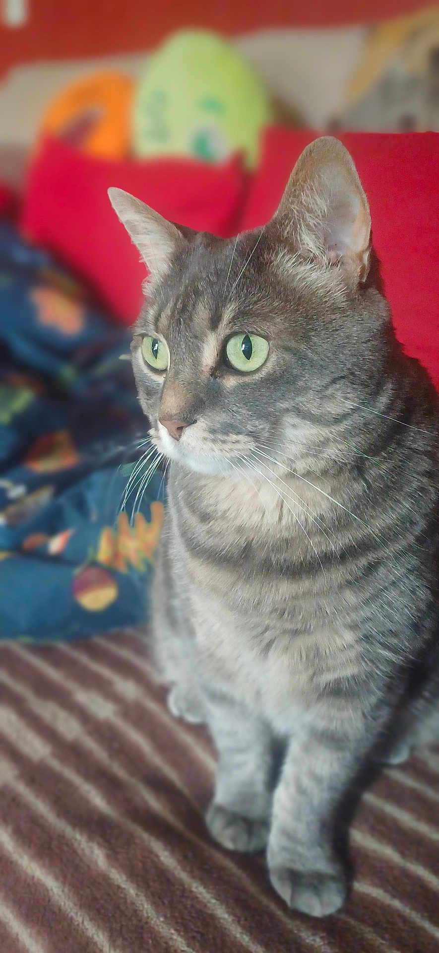 Marlo
