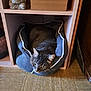 animal, buddha_statue, cat, close_up, cozy, curious, domestic_animal, floor, furniture, grey_cat, home_decor, indoor, pet_bed, quiet, relaxed, resting, sitting, tabby_cat, tile_floor, wooden_shelf