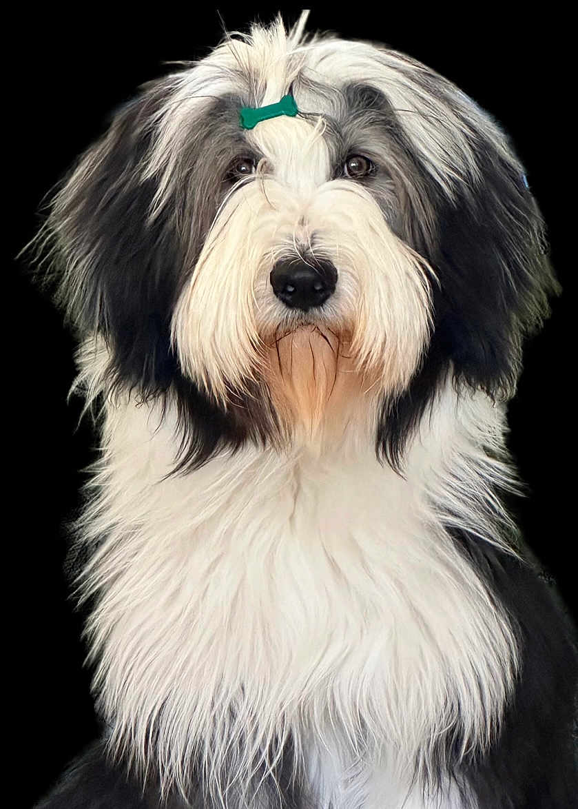 Spencer