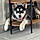 Balto