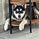 Balto