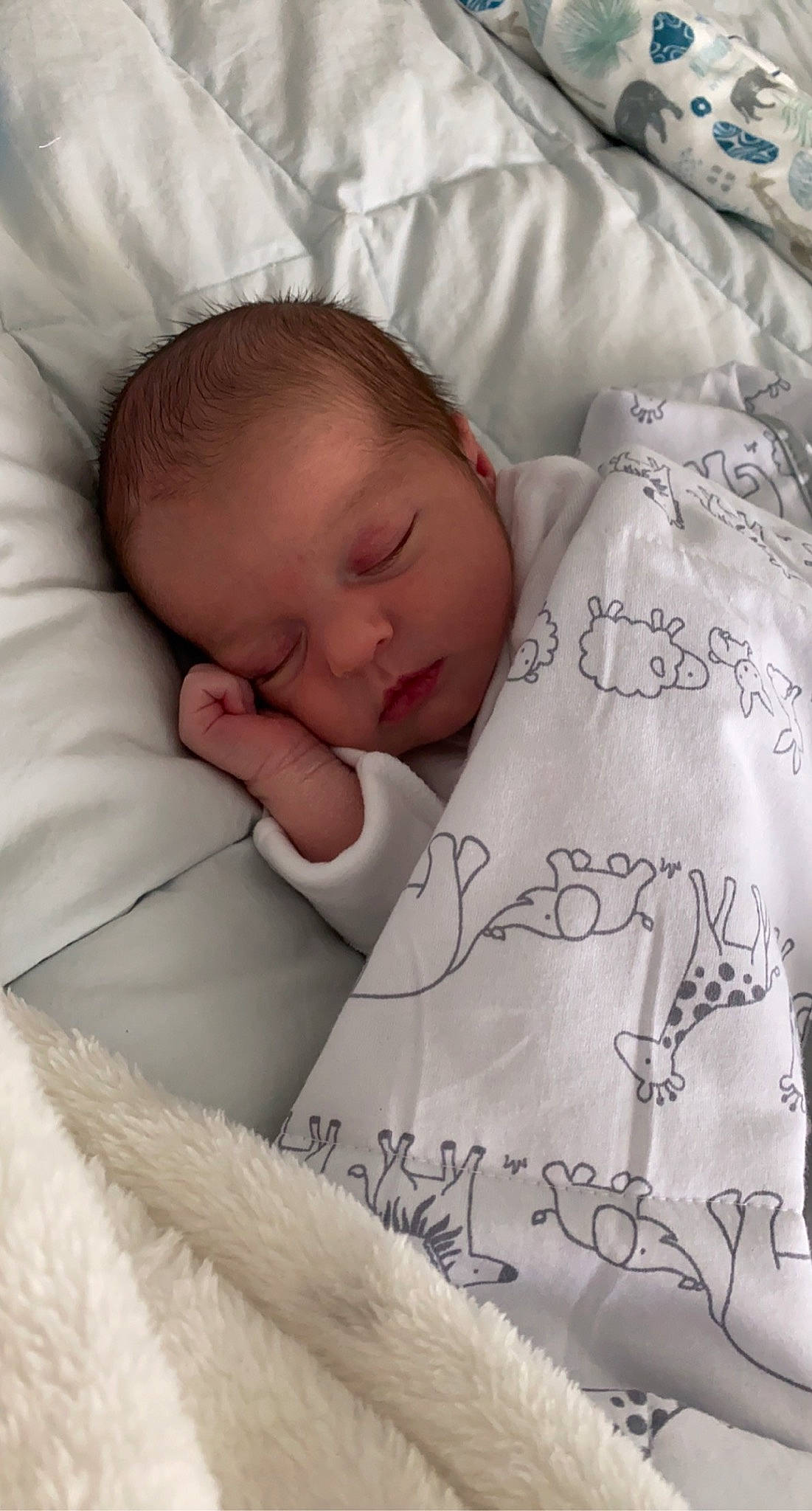 Jaxx is registered to the contest to win money with this photo: baby, baby_sleeping, baby_toddler_clothing, bedding, bedtime, cheek, child, comfort, face, font, happy, human, linens, mammal, person, poster, skin, textile, toddler, vertebrate