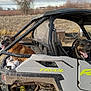 animal, cloudy_sky, dirt, dog, field, grass, happy, mud, nature, off_road_vehicle, outdoor, parked, pet, rustic, seat, tire, tongue_out, trail, tree, vehicle