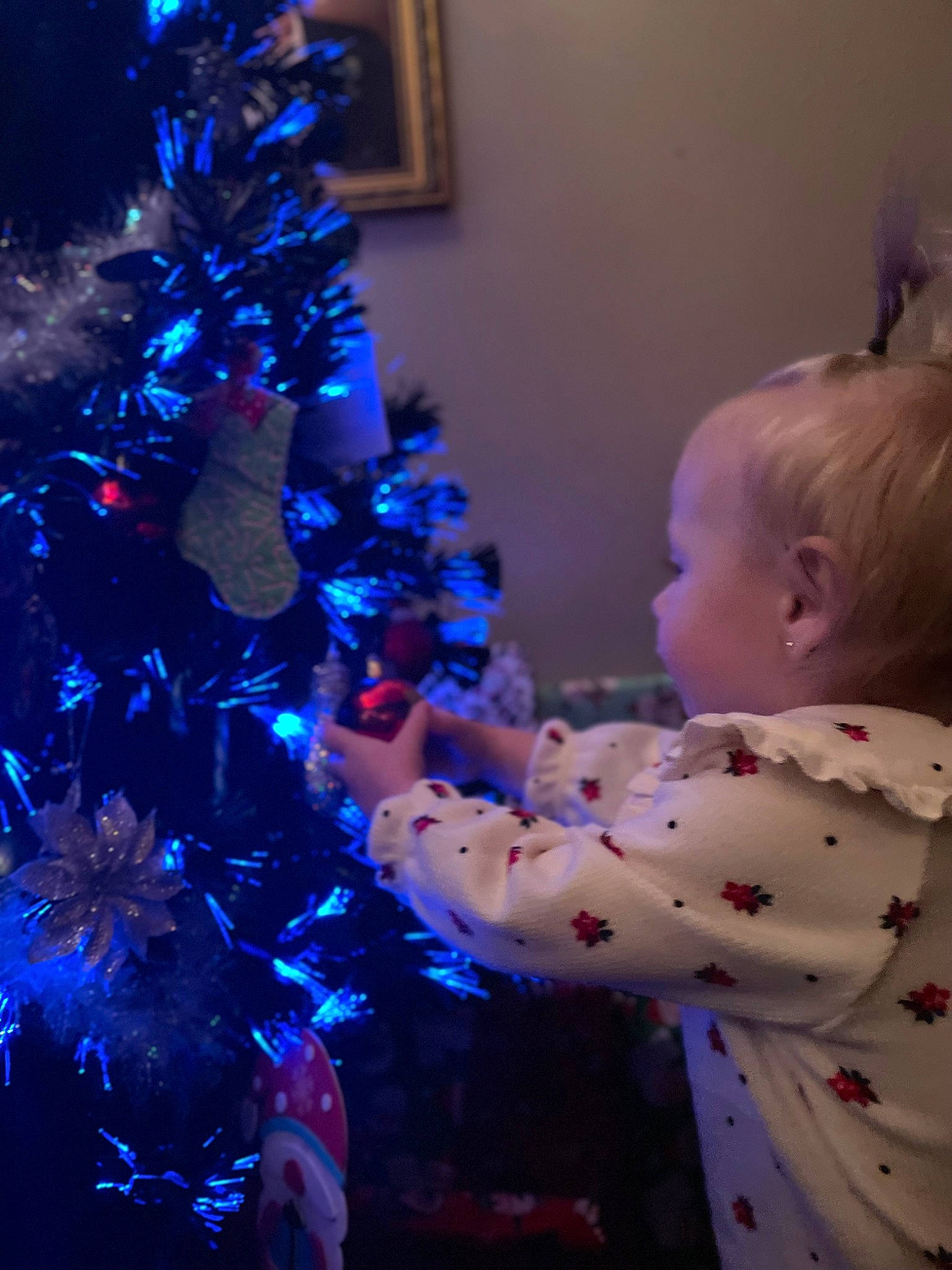 Tonya is registered to the contest to win money with this photo: baby, blue, christmas, christmas_decoration, christmas_eve, christmas_ornament, christmas_tree, conifer, electric_blue, event, evergreen, fun, holiday, holiday_ornament, ornament, person, plant, purple, toddler, tradition