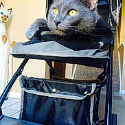 Kaymin is registered to the contest to win money with this photo: