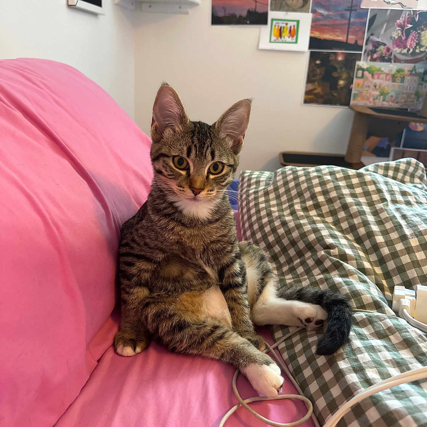 Cleo