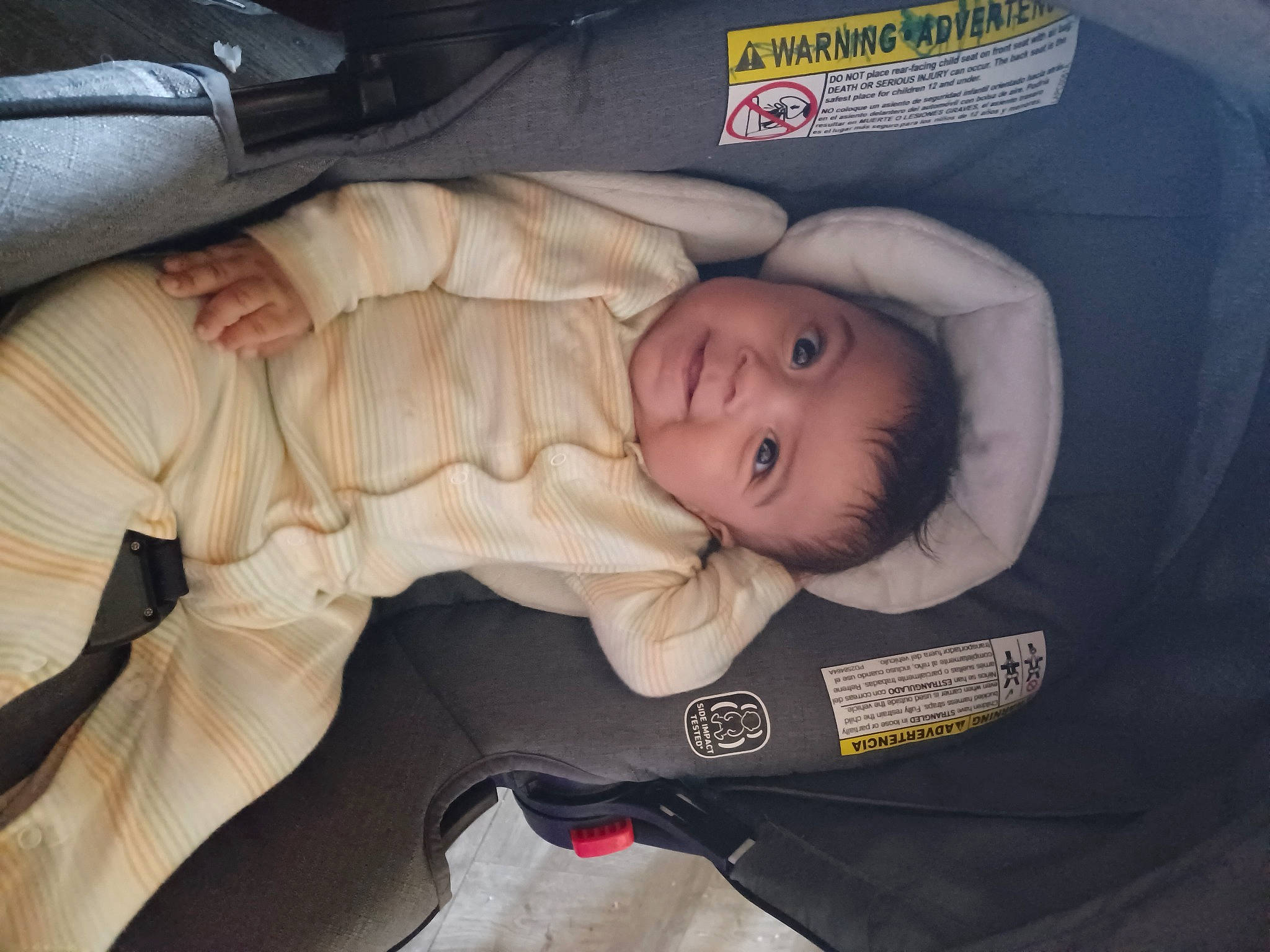 Armando is registered to the contest to win money with this photo: auto_part, baby, baby_carriage, baby_in_car_seat, baby_products, baby_safety, baby_toddler_clothing, car_seat, cheek, child, comfort, fun, lap, linens, nap, person, sleep, smile, toddler, tree