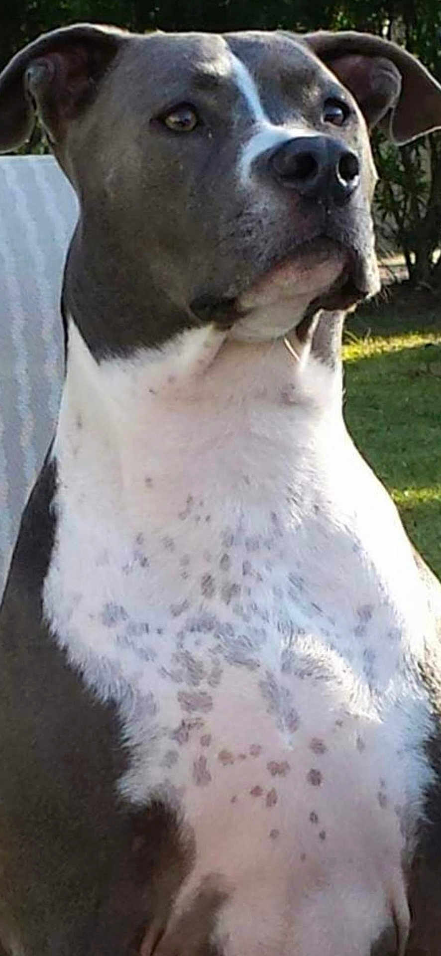 Lucy