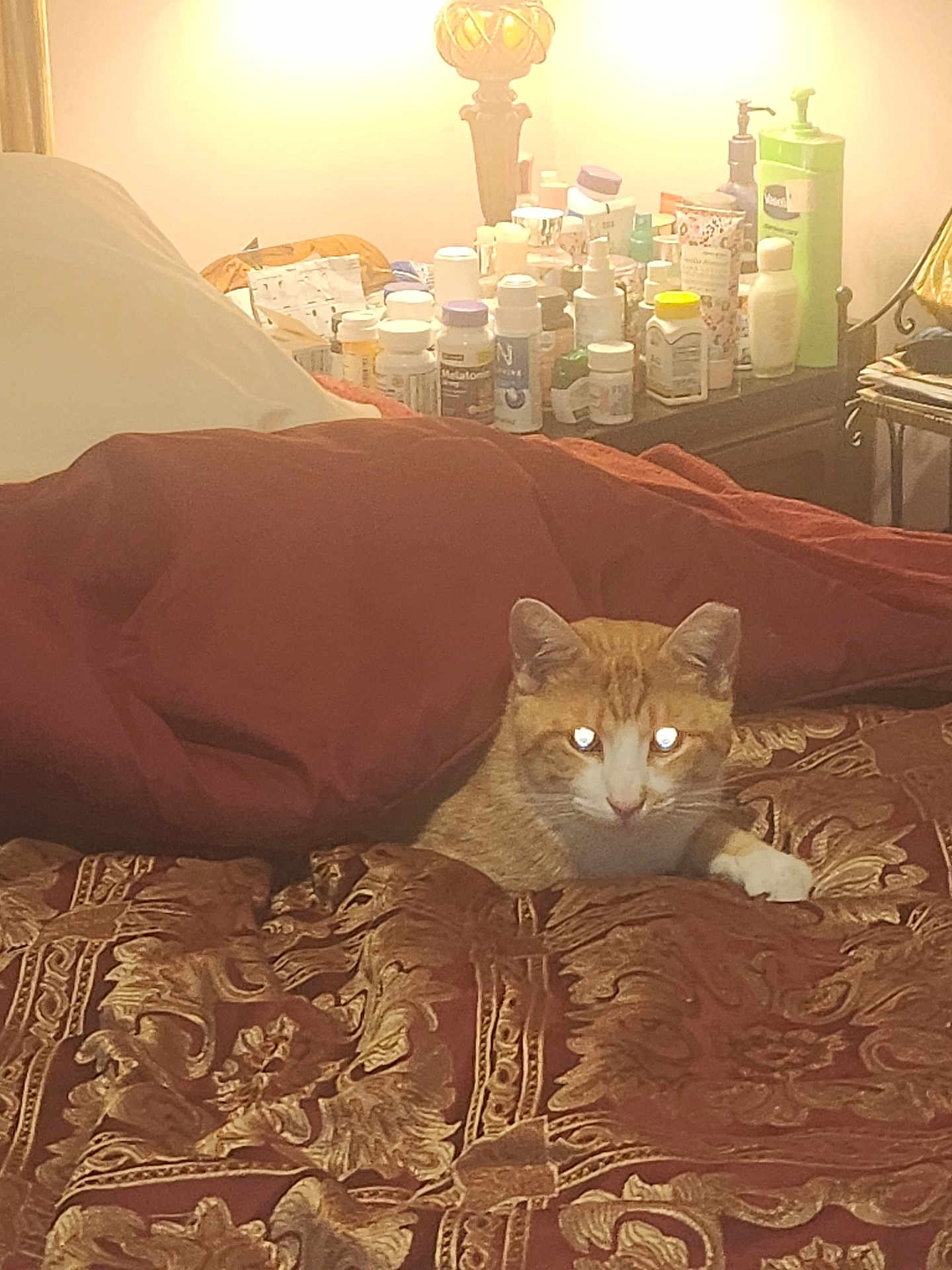 Garfield is registered to the contest to win money with this photo: cat, bed, blanket, patterned_bedspread, orange_cat, white_cat, indoor, nightstand, lamp, bottles, clutter, furniture, pet, resting, cozy, warm_lighting, reflection, animal, domestic, comfort