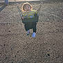 child, toddler, swing, playground, sunlight, park, outdoor, grass, picnic_shelter, fence, happy, baby, clothing, footwear, mismatched_socks, chain, seat, daytime, smile, curly_hair