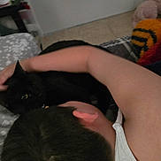 Luci joined the competition — help win amazing prizes! black_cat, person, bed, blanket, petting, indoor, resting, close_up, animal, human, sleepwear, floor, plush_toy, arm, hair, ear, comfort, domestic, feline, affection