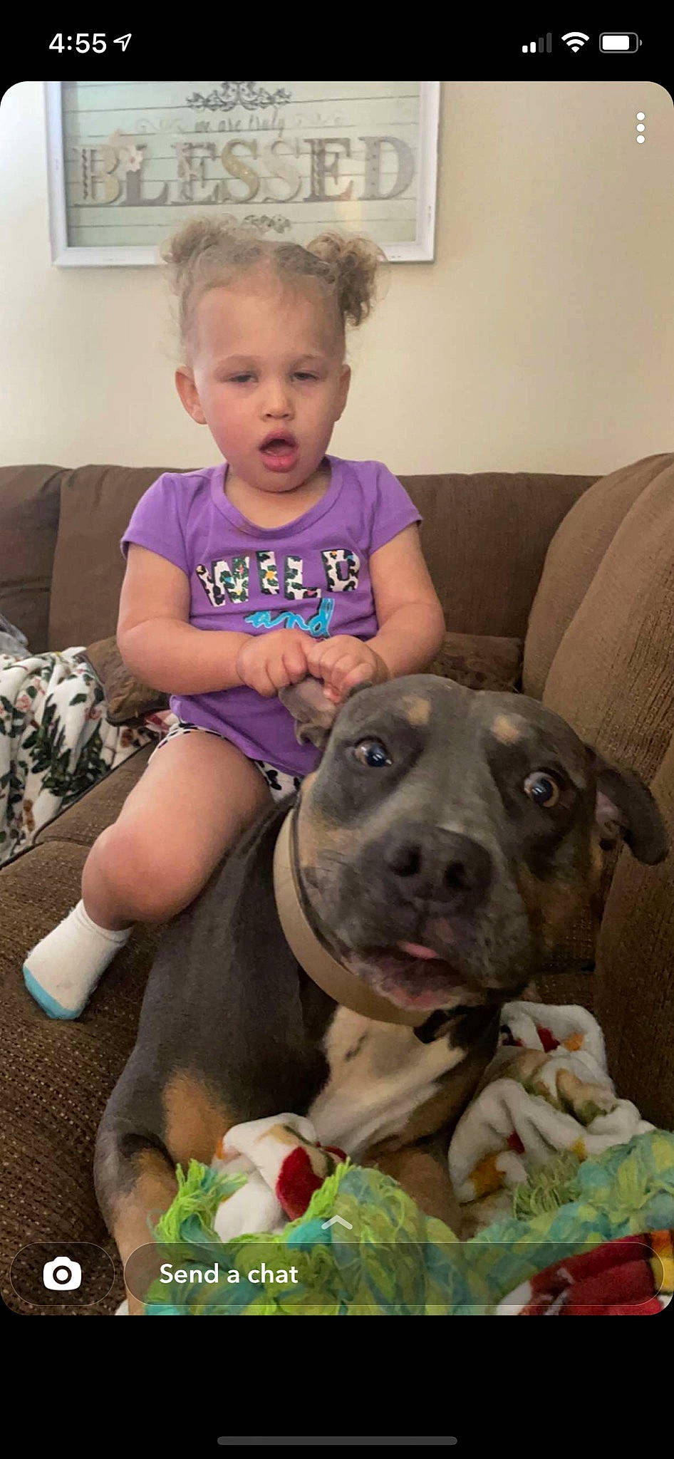 Brynlee is registered to the contest to win money with this photo: baby_toddler_clothing, canidae, carnivore, child, collar, comfort, companion_dog, couch, dog, dog_breed, facial_expression, fawn, fun, head, person, picture_frame, skin, snout, toddler, window