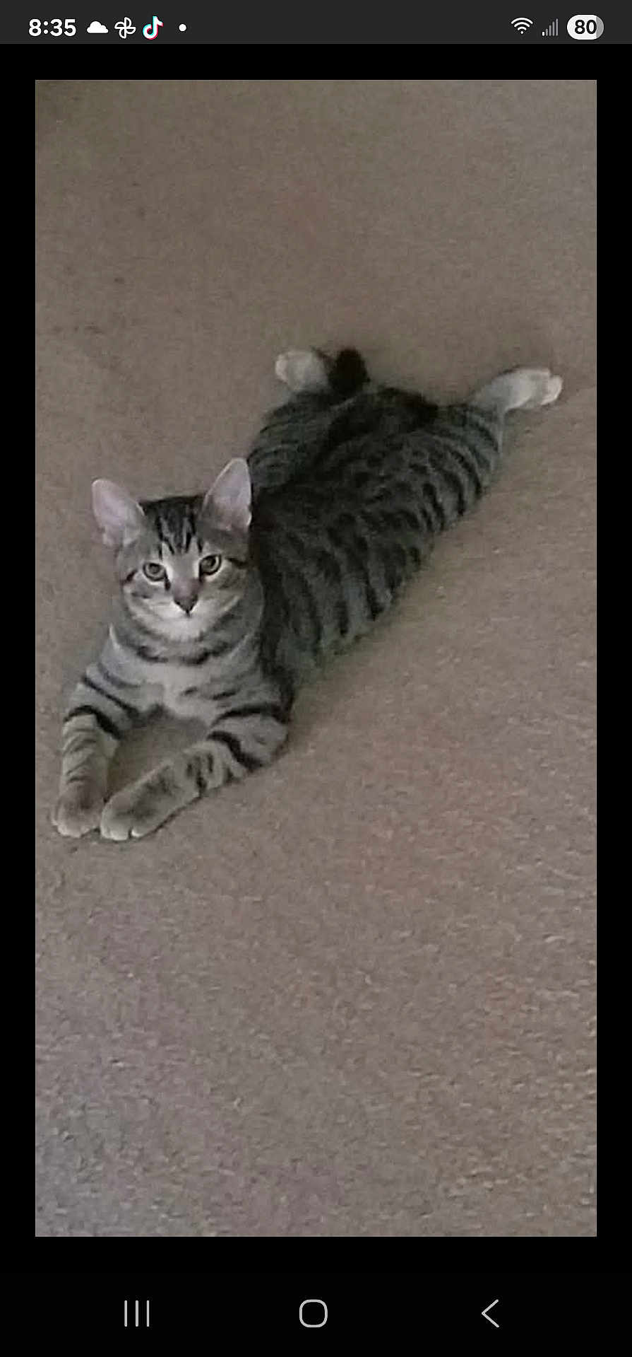 Charlie