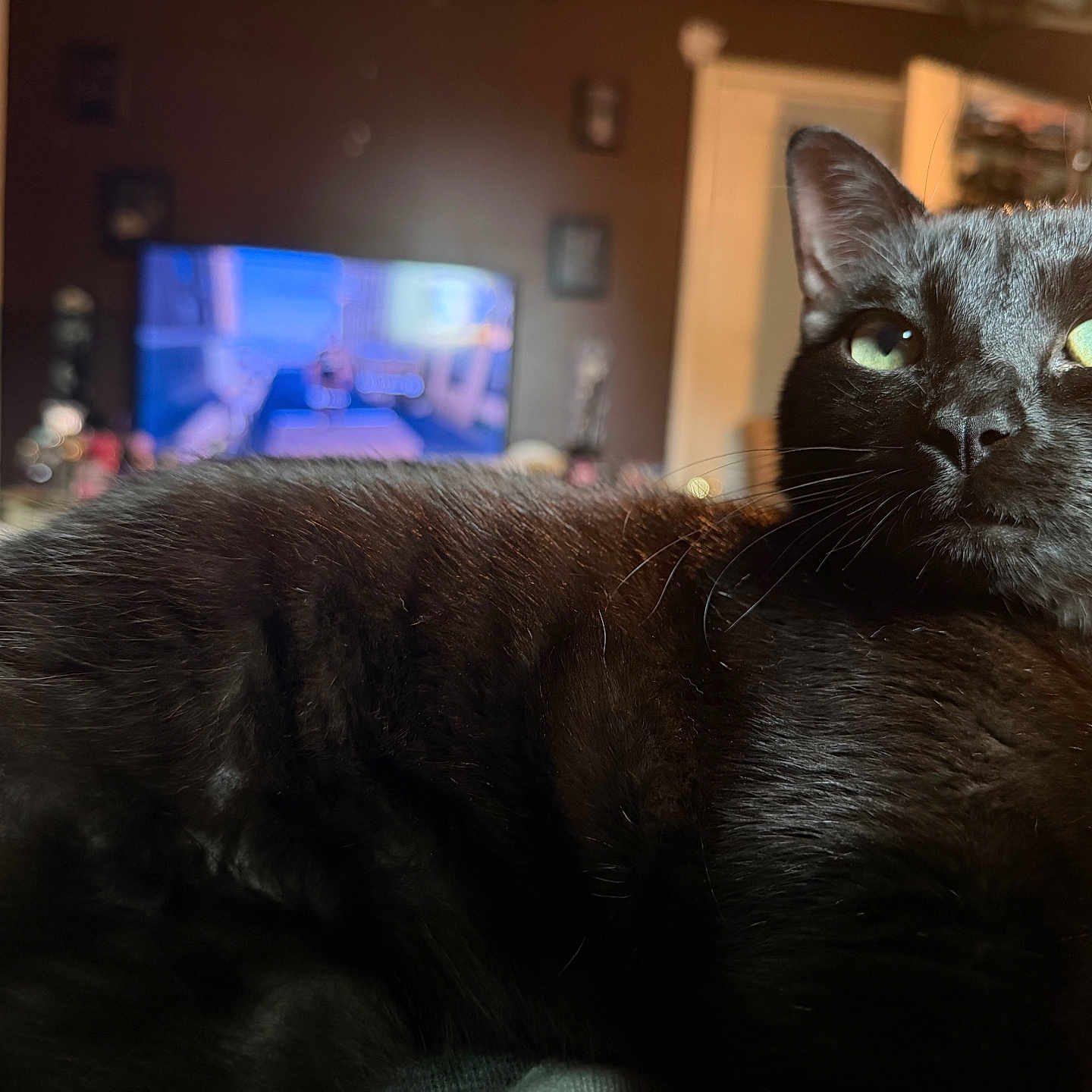 Salem