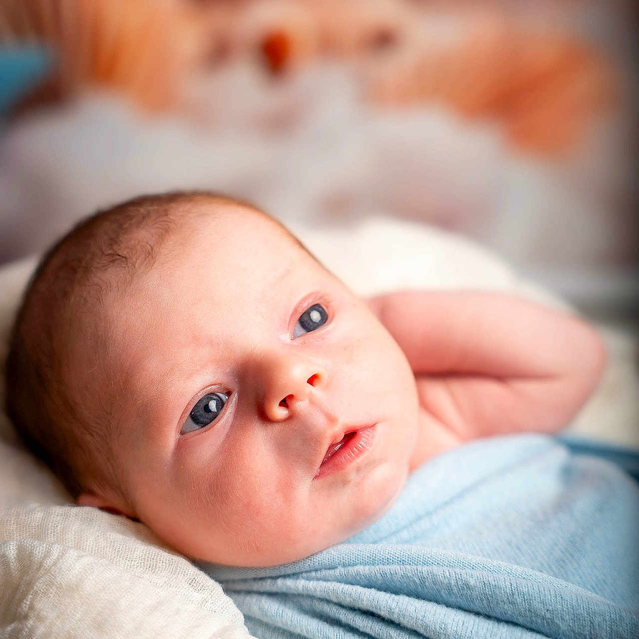 Kays participe au concours pour gagner de l'argent avec cette photo : baby, blue_blanket, blurred_background, child, closeup, comfort, cozy, cute, expression, face, indoors, infant, newborn, peaceful, portrait, resting, skin, small, soft_lighting, teddy_bear
