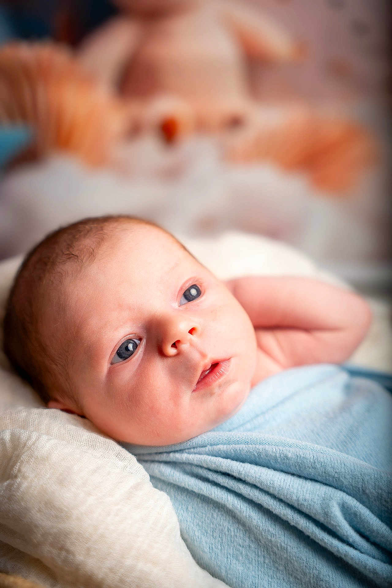 Kays participe au concours pour gagner de l'argent avec cette photo : baby, infant, blue_blanket, closeup, face, expression, soft_lighting, indoors, cute, teddy_bear, blurred_background, newborn, portrait, skin, child, resting, cozy, comfort, small, peaceful