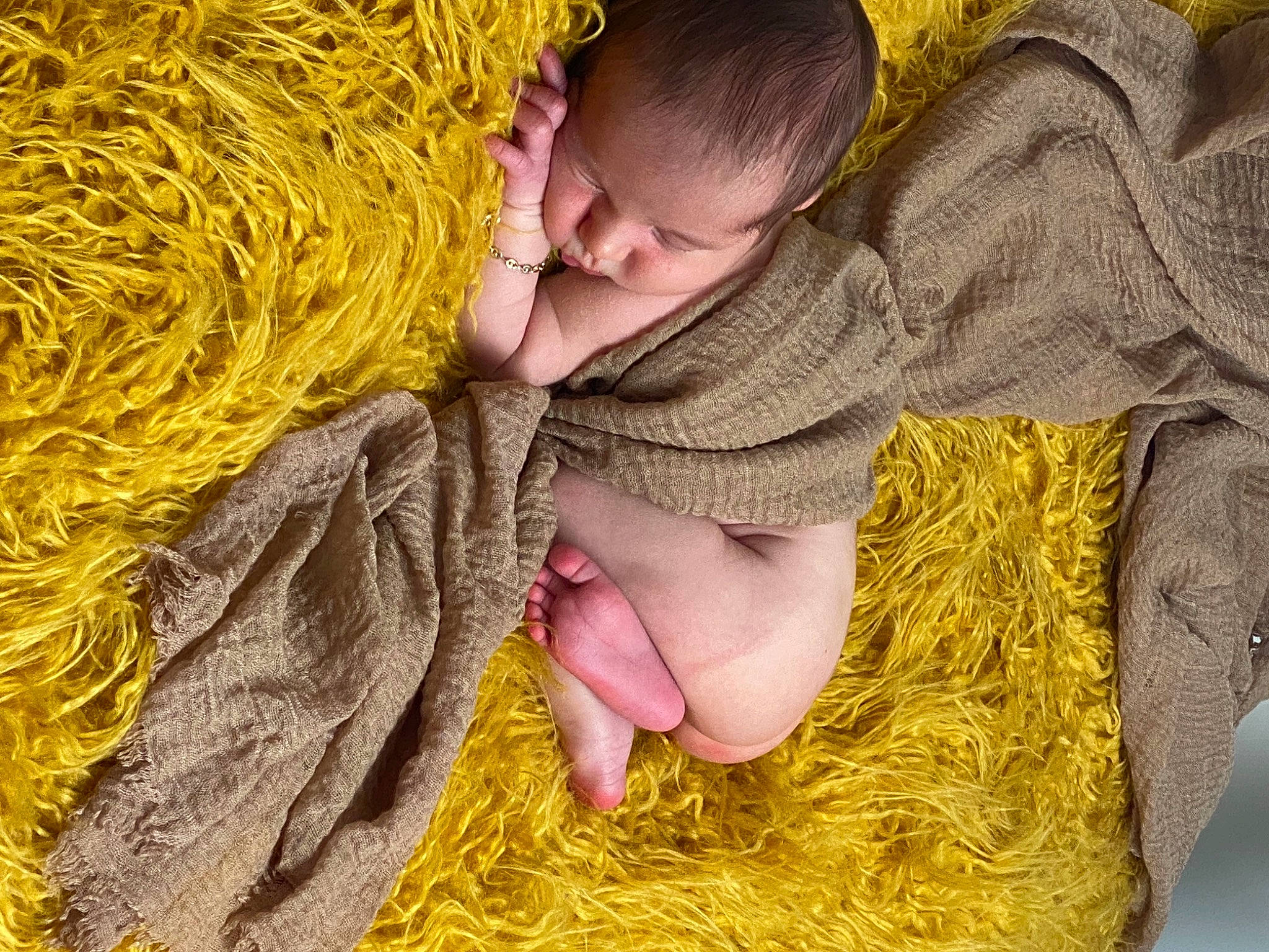 Boston a rejoint le concours — aidez-le/la à gagner de superbes lots ! agriculture, baby, child, comfort, fur, grass, grass_family, happy, hay, linens, pattern, people_in_nature, person, photograph, plant, textile, thread, toddler, wool, woolen