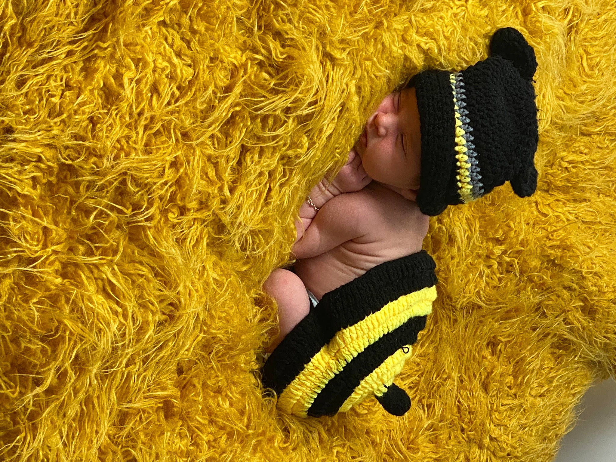 Boston a rejoint le concours — aidez-le/la à gagner de superbes lots ! agriculture, beauty, field, foot, fun, fur, grass, grass_family, hand, happy, hat, hay, headwear, human_leg, leisure, people_in_nature, person, sandal, straw, sun_hat