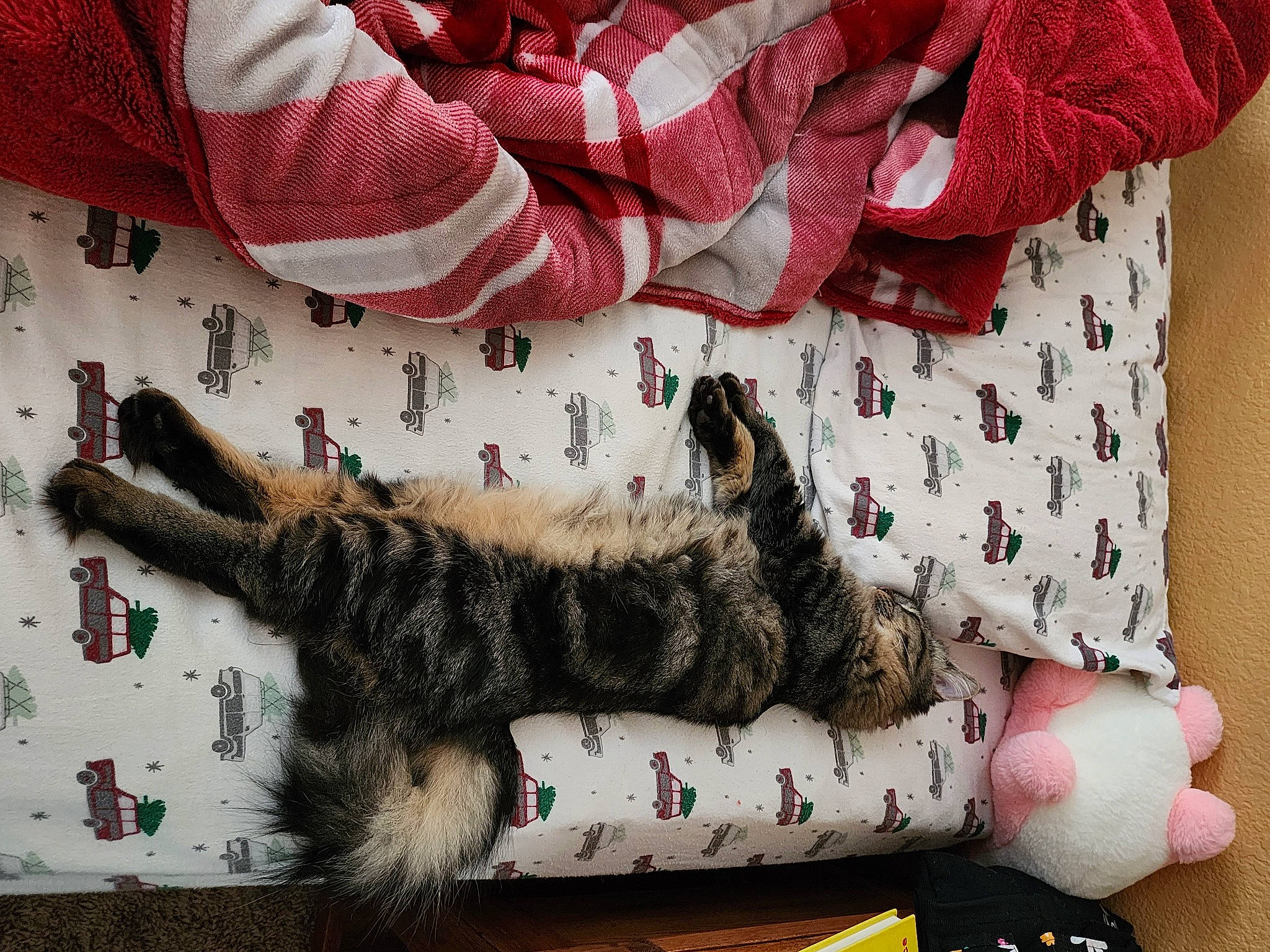 Toby is registered to the contest to win money with this photo: carmine, carnivore, cat, claw, comfort, domestic_short_haired_cat, fashion_accessory, felidae, foot, fur, linens, pattern, paw, sleeve, small_to_medium_sized_cats, stuffed_toy, tail, textile, toy, whiskers