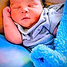 baby, newborn, sleeping, blanket, blue, cozy, cute, infant, soft, resting, peaceful, face, hand, clothing, portrait, closeup, indoors, child, toddler, relaxation