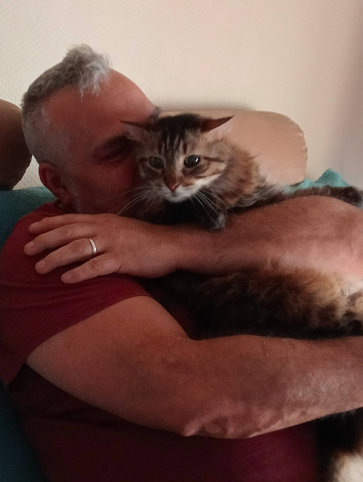 Tyson participe au concours pour gagner de l'argent avec cette photo : abdomen, arm, beard, carnivore, cat, comfort, domestic_short_haired_cat, ear, elbow, facial_hair, felidae, fur, gesture, hand, hug, lap, nail, sitting, small_to_medium_sized_cats, whiskers