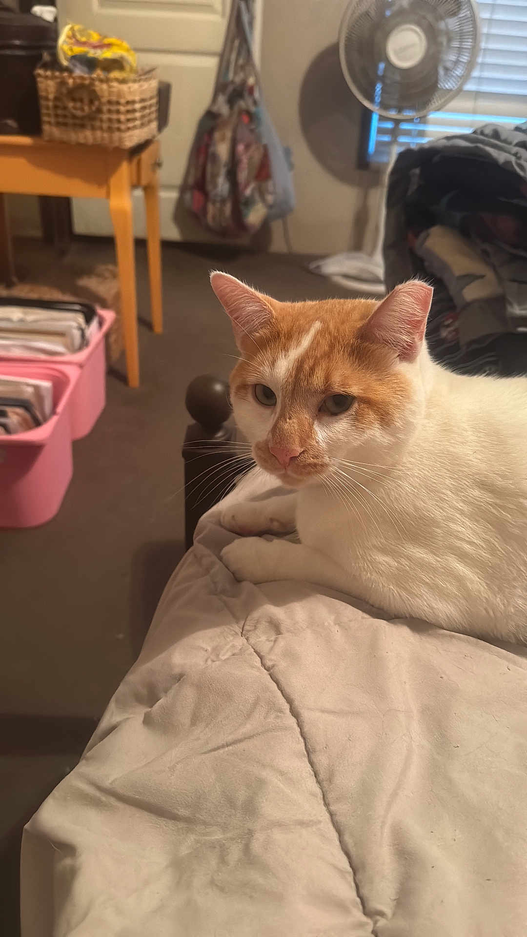 Rusty