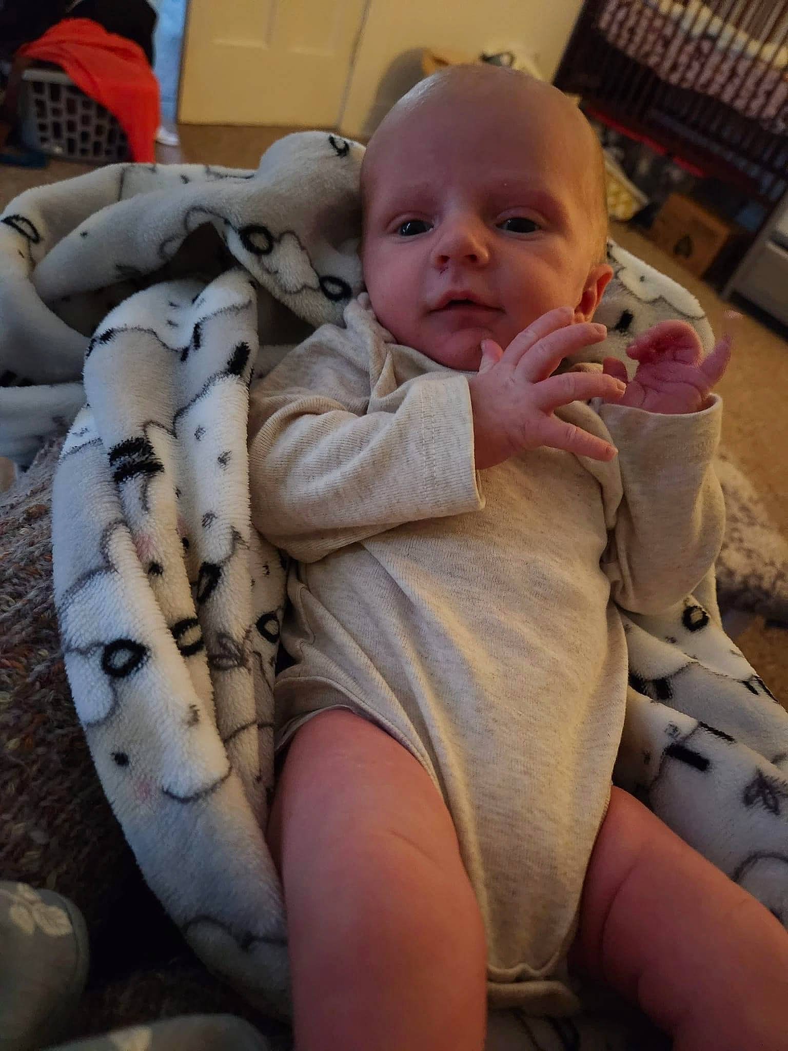 Callahan is registered to the contest to win money with this photo: abdomen, baby, baby_products, baby_safety, baby_toddler_clothing, cheek, chest, child, comfort, eye, human_leg, linens, nail, person, shelf, skin, smile, thigh, thumb, toddler