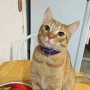 Alibaba is registered to the contest to win money with this photo:
