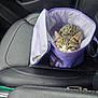 Dude joined the competition — help win amazing prizes! cat, tabby_cat, pet, animal, bag, purple_bag, car_interior, car_seat, leather_seat, black_leather, curious, peeking, snug, indoor, transportation, seat, feline, cute, alert, travel