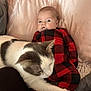 Rosemary is registered to the contest to win money with this photo: animal, baby, babylaughing, blanket, cat, cushion, face, happy, head, homedecor, kitten, person, pet, photography, pillow, portrait, quilt