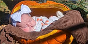 Rosemary joined the competition — help win amazing prizes! baby, blanket, clothing, couch, face, food, furniture, hat, head, newborn, person, photography, plant, portrait, produce, pumpkin, sleeping, squash, tree, vegetable
