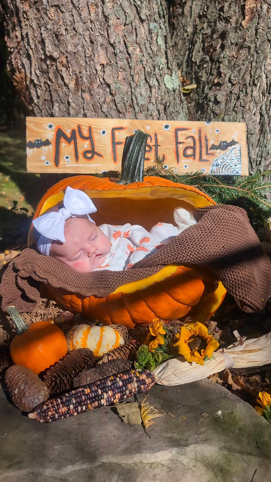 Rosemary joined the competition — help win amazing prizes! baby, blanket, clothing, couch, face, food, furniture, hat, head, newborn, person, photography, plant, portrait, produce, pumpkin, sleeping, squash, tree, vegetable