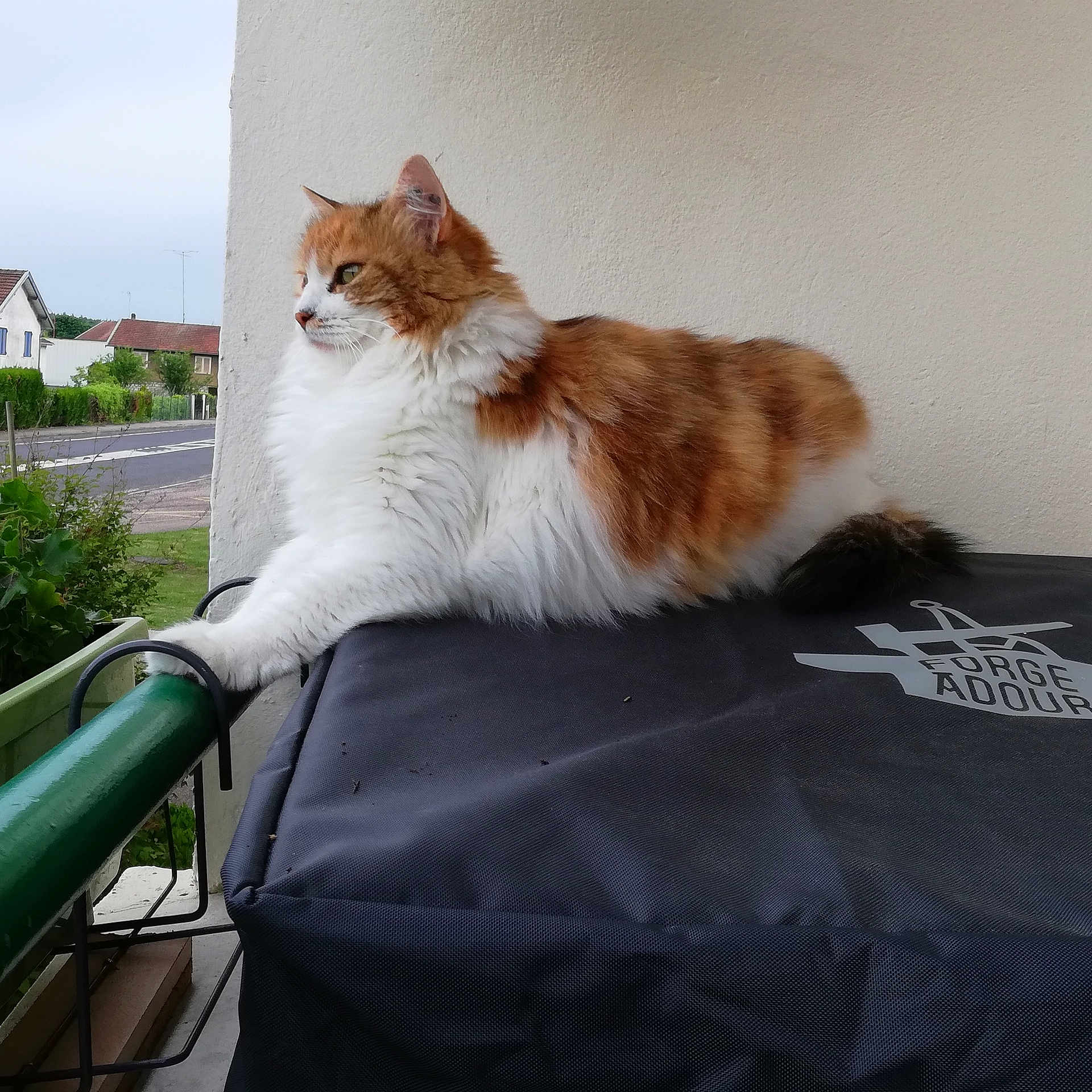 Kinette
