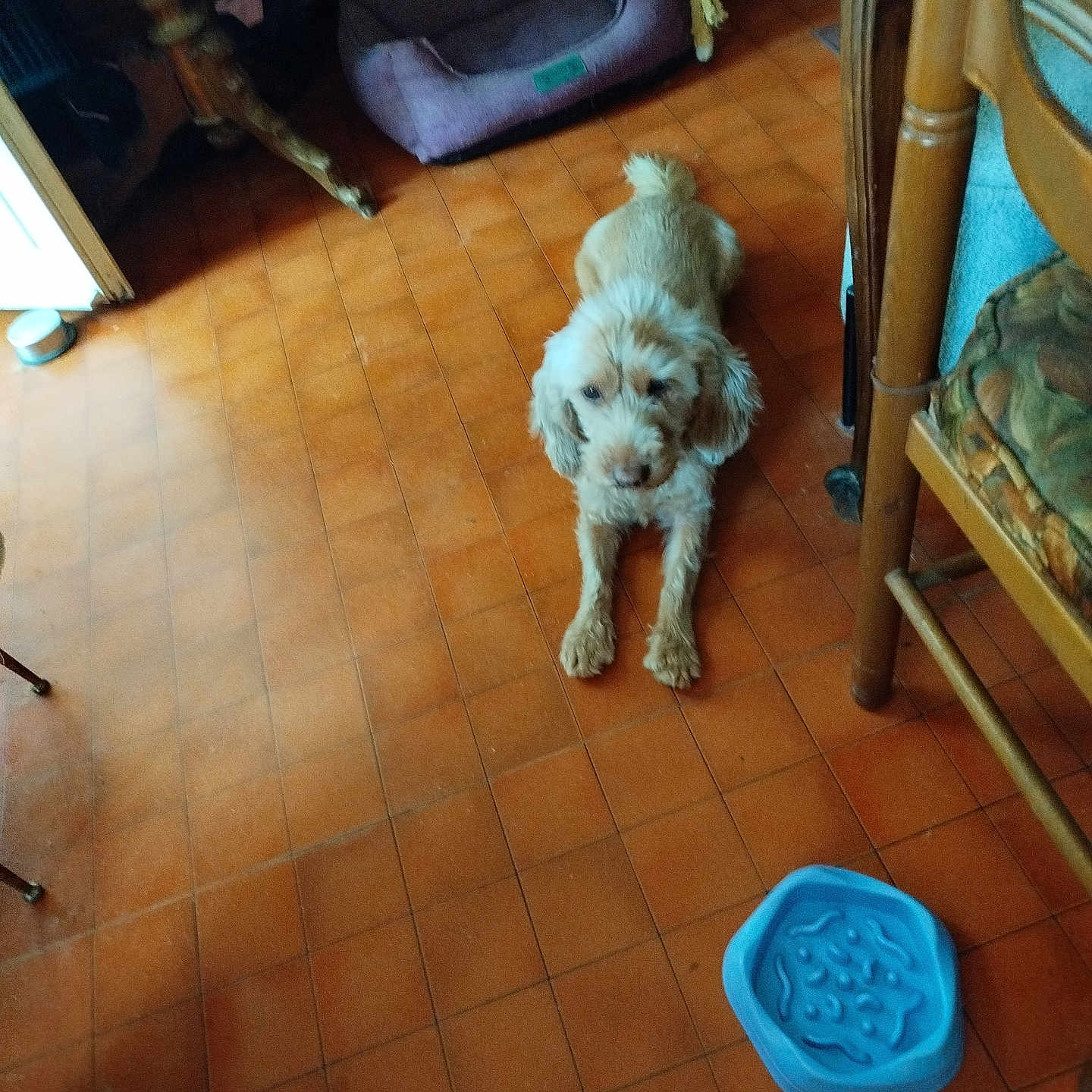 Ripley