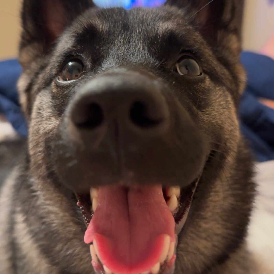 Luna