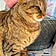 Minette